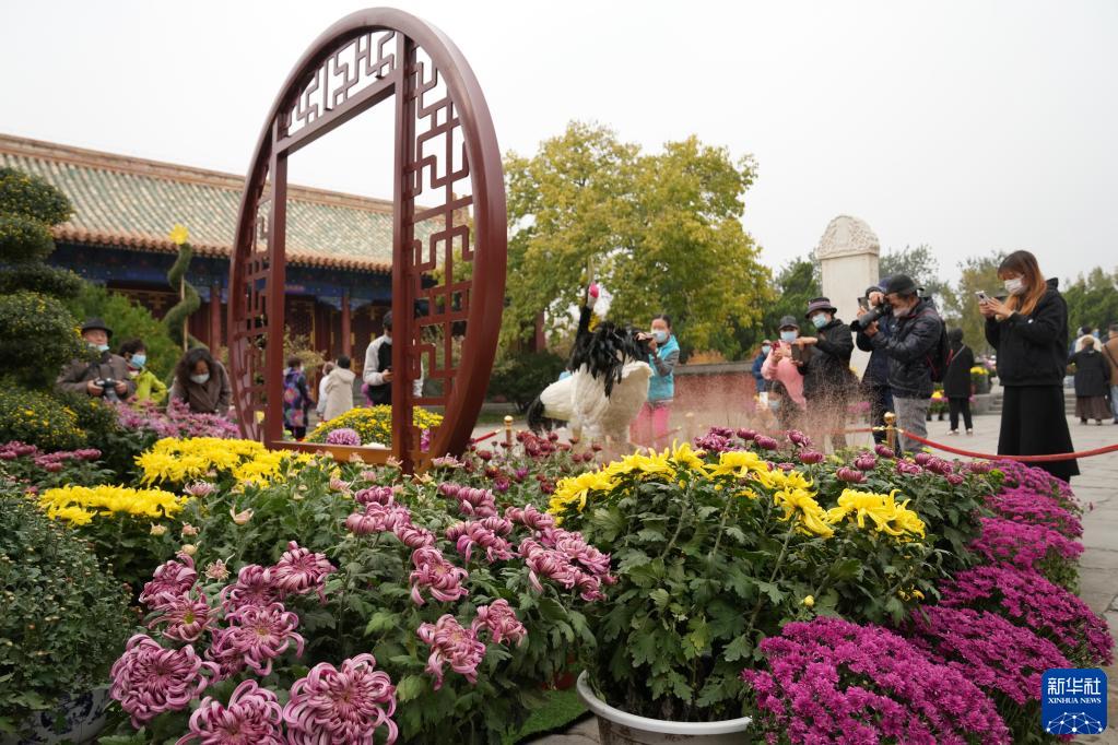 北海公園で秋の菊鑑賞　北京