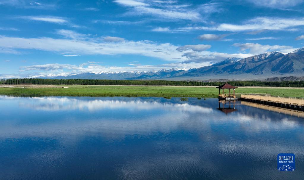 3つの山と2つの盆地が育む湿地の美　新疆