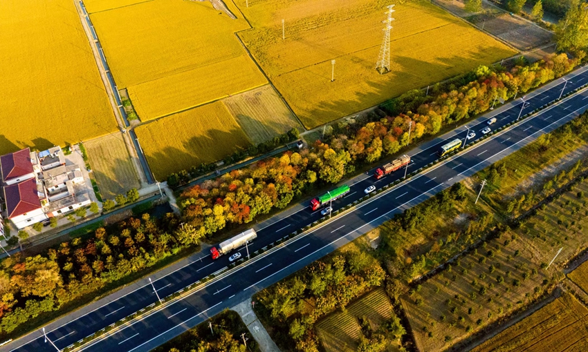 まるで秋を描いた絵画のような江蘇省淮安の美しい田園風景