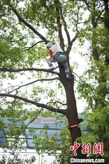 受けてみたい！中国の学校で木登り授業が増加中