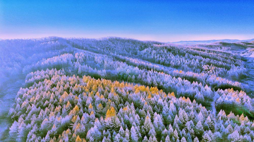 山間部に広がる雪と紅葉が織りなす初冬の美しい景色　黒竜江省林口