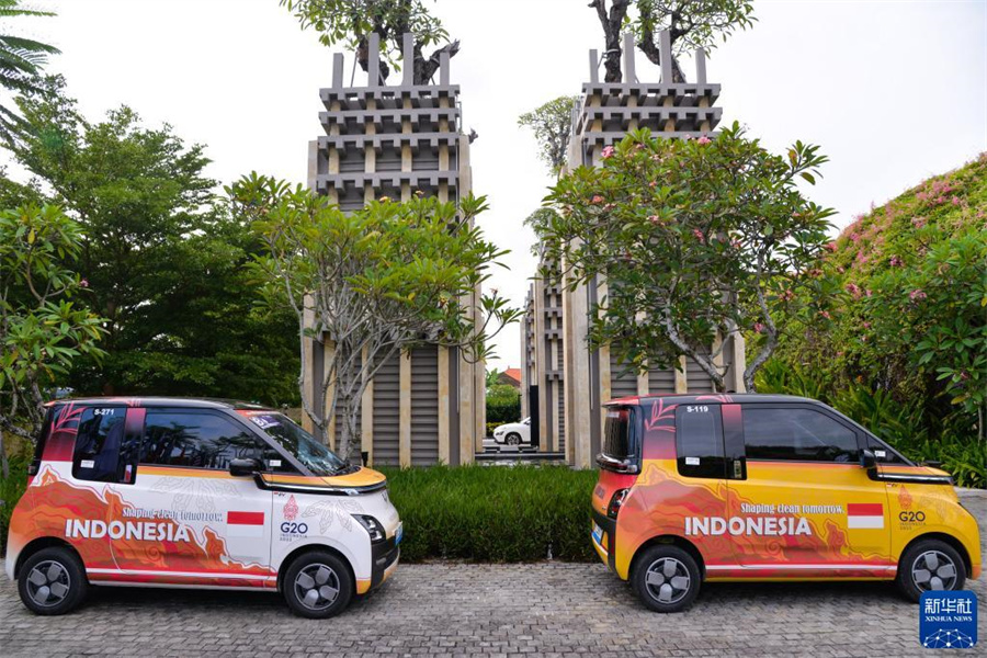 中国の新エネ車がG20サミットをサポート　インドネシア