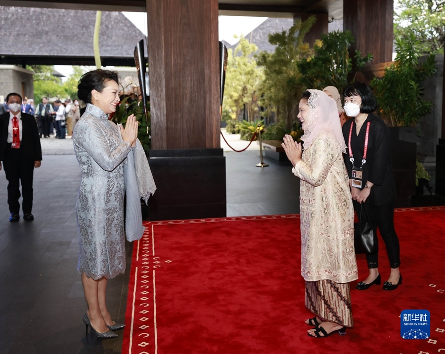 彭麗媛夫人がインドネシア大統領夫人と会談