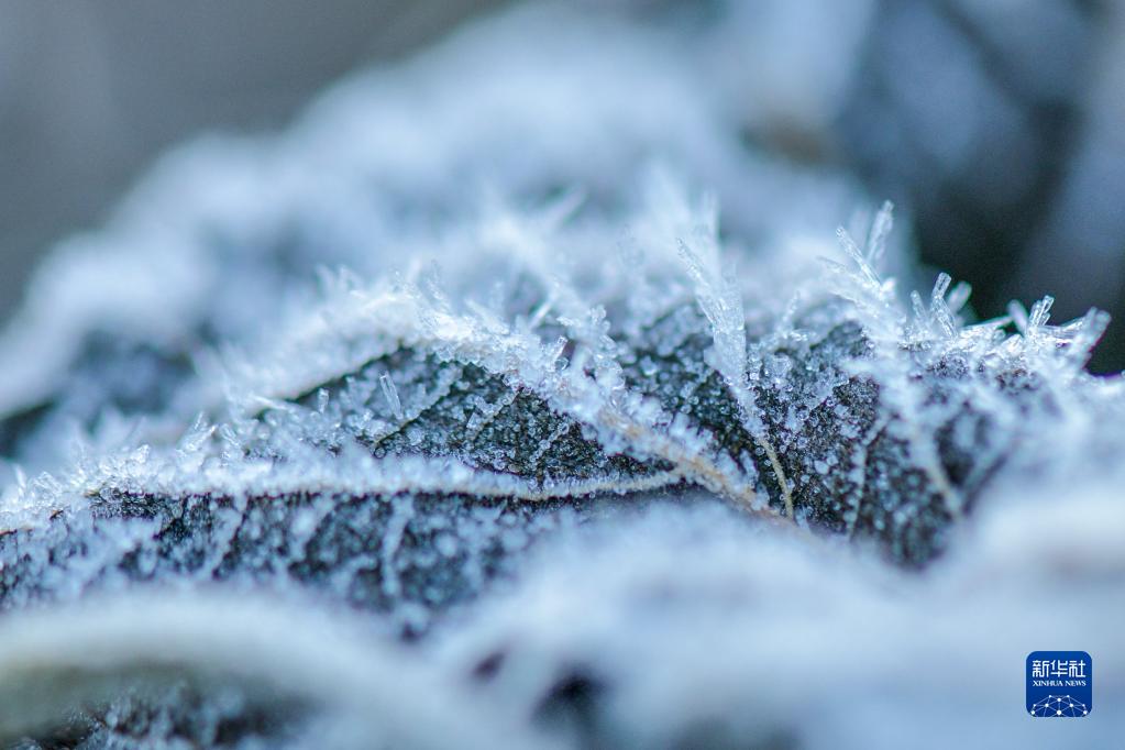 11月22日は二十四節気の「小雪」