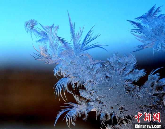大自然が描く氷の「窓花」　内蒙古大興安嶺