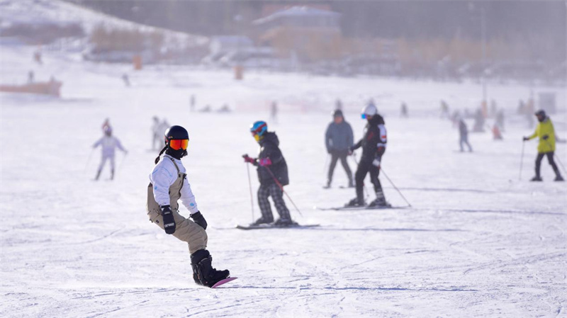 第20回烏魯木斉氷雪風情フェスが開幕　新疆