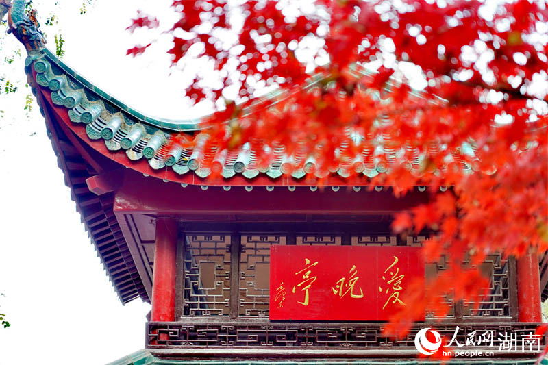 「霜葉は二月の花よりも紅なり」の愛晩亭に広がる絶景　湖南省長沙