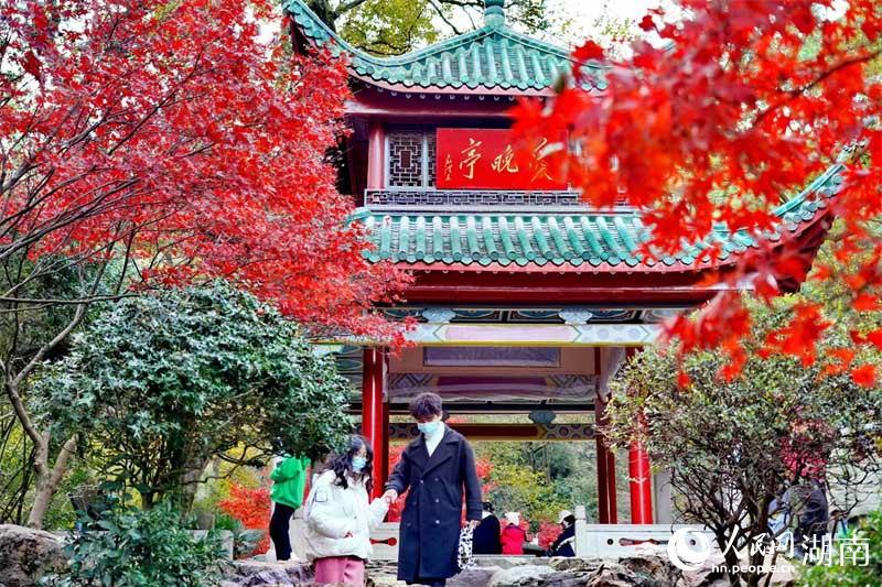 「霜葉は二月の花よりも紅なり」の愛晩亭に広がる絶景　湖南省長沙