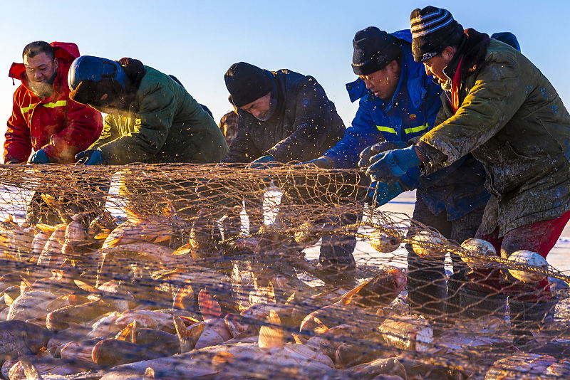 査干湖で行われた「冬漁」の様子（写真著作権はCFP視覚中国が所有のため転載禁止）。