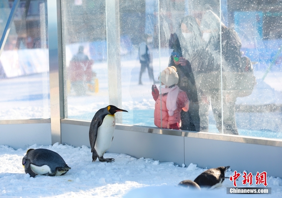 陶然亭公園にスノーパークがオープン　北京市