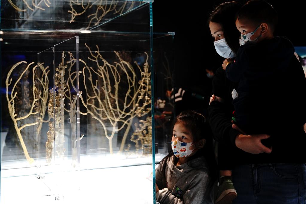 上海自然博物館で開催中の「深海園林」を見学する来館者（2022年12月3日撮影・張建松）。