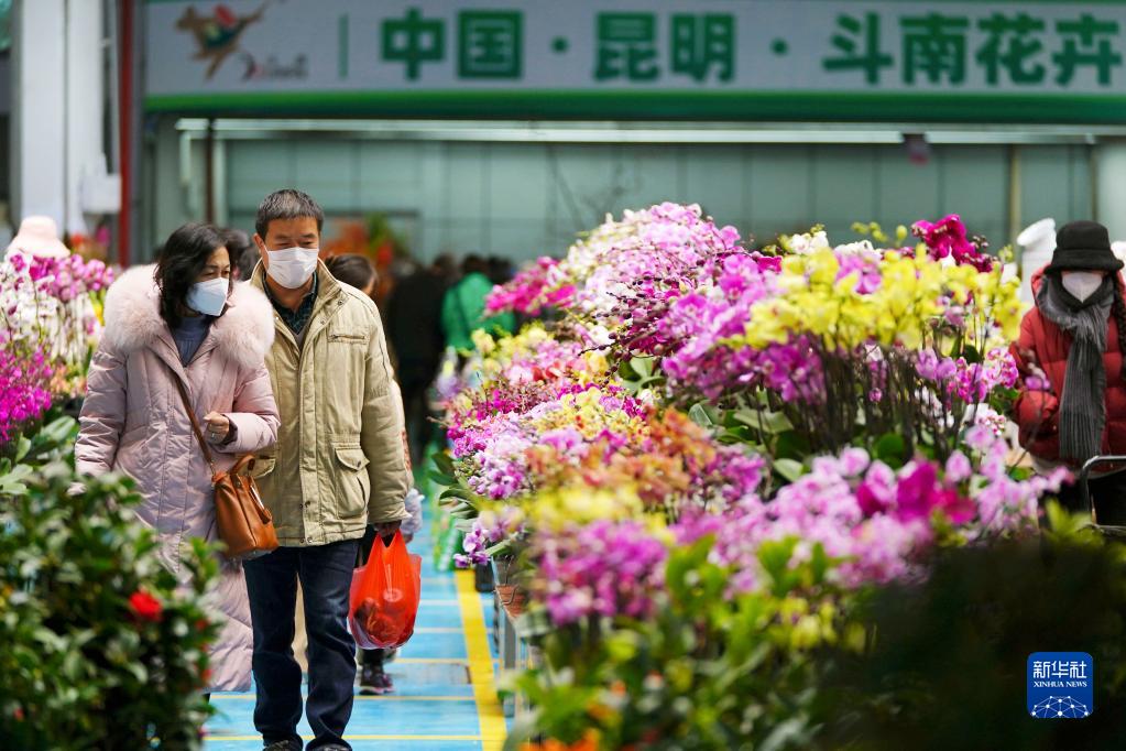 春節を控え活気づく花市場 雲南省昆明