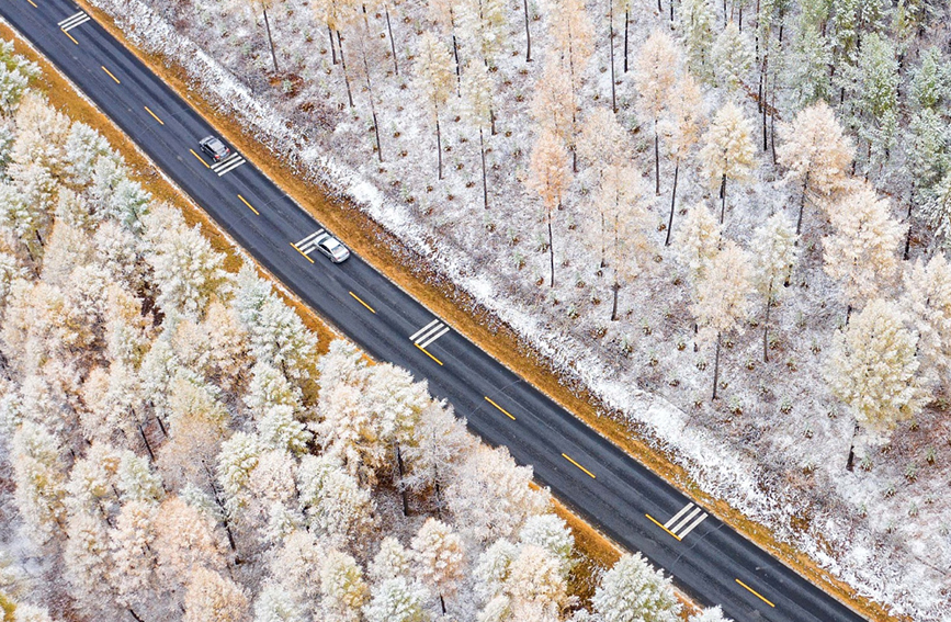 純白の雪に包まれた幻想的な美しい風景が広がる木蘭囲場（撮影・許豊）。