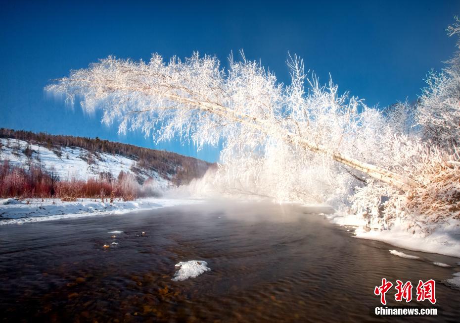 川に覆いかぶさるように伸びた樹木にびっしりと咲いた「氷の花」（撮影・田雲祥）。