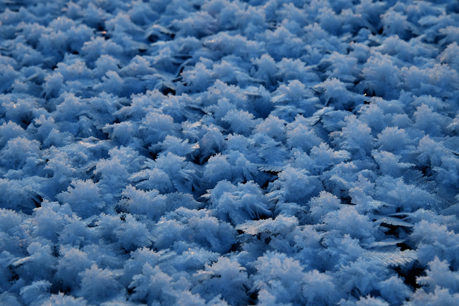 松花江に満開となった「氷の花」が織りなす幻想的な光景　黒竜江省哈爾浜
