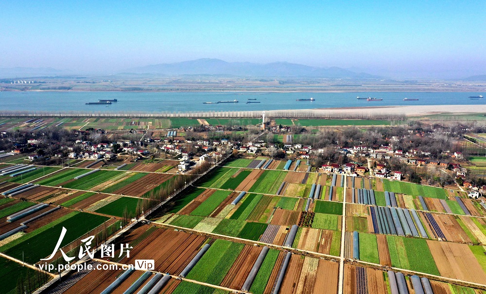 早春の麗しい農村風景　安徽省銅陵