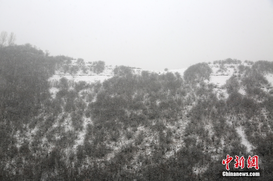 甘粛省各地で春節後の初雪　水墨画のような絶景広がる