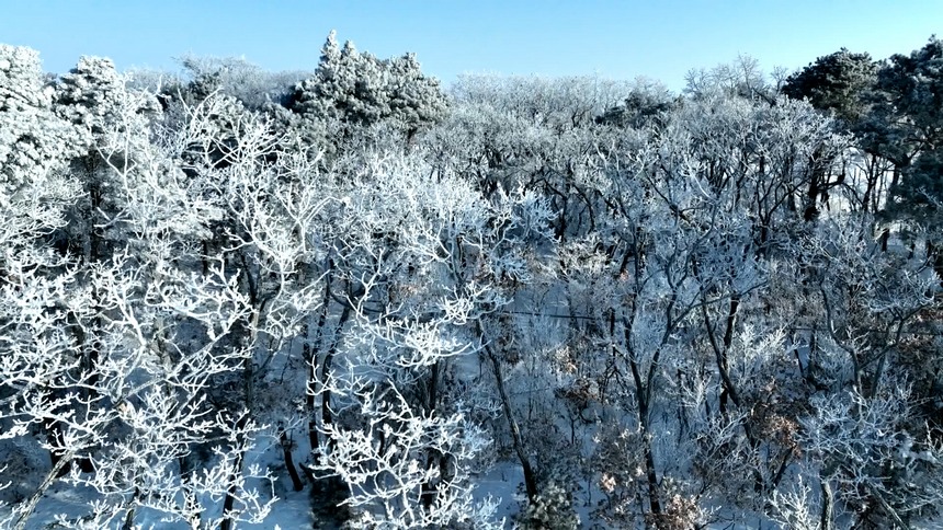 興凱湖に霧氷の奇観現る　黒竜江省