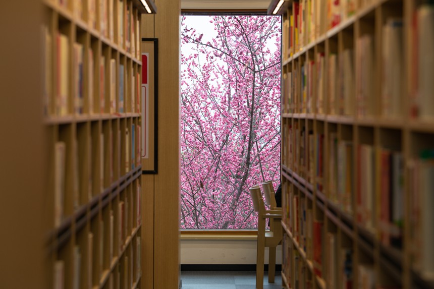 図書館で見つけた「春」　重慶