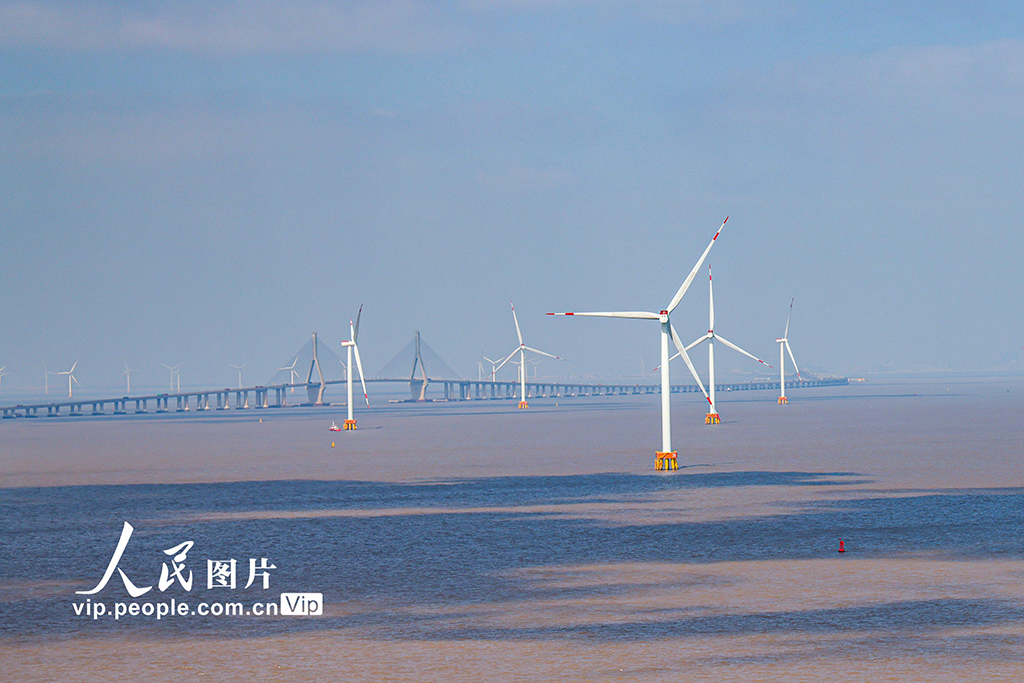 上海東海大橋洋上風力発電所の美しい風景