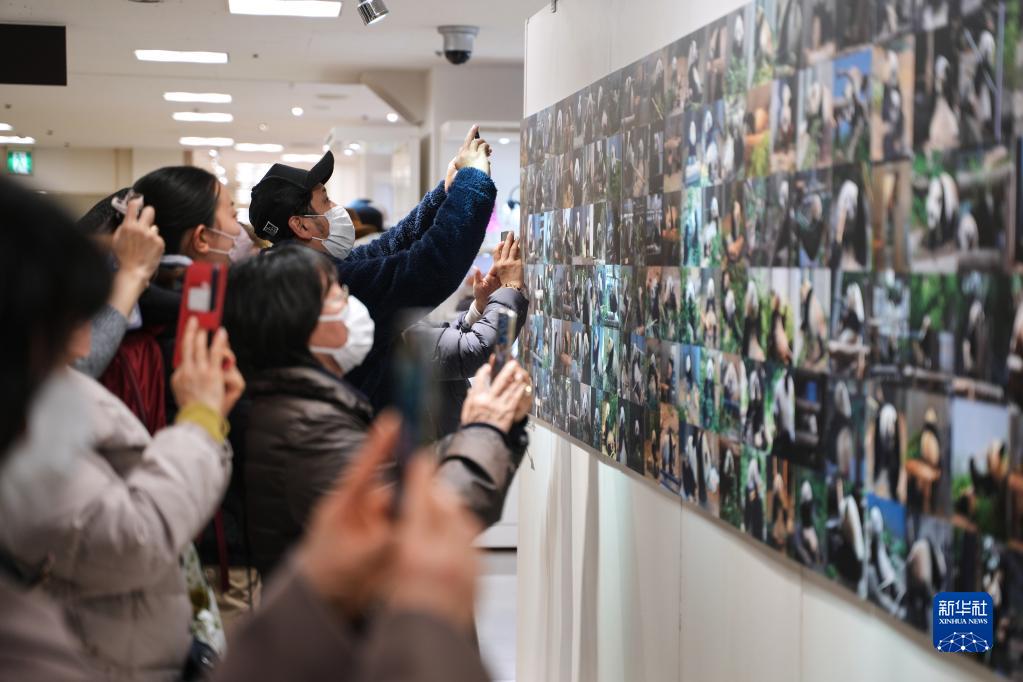 東京上野の百貨店でパンダの写真展が開幕　日本