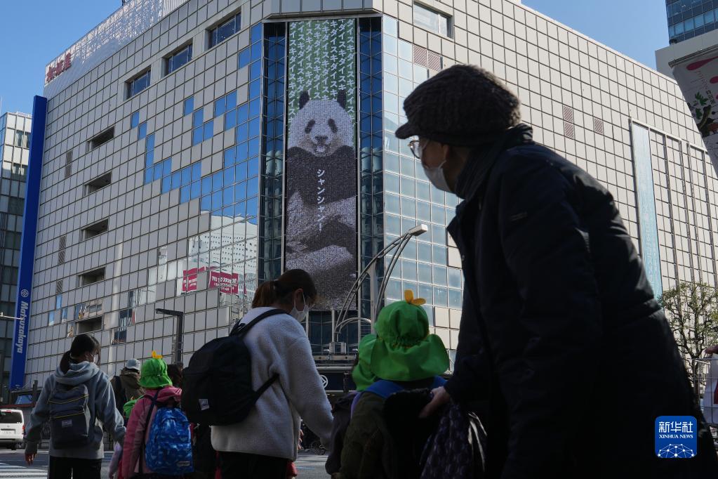 東京上野の百貨店でパンダの写真展が開幕　日本