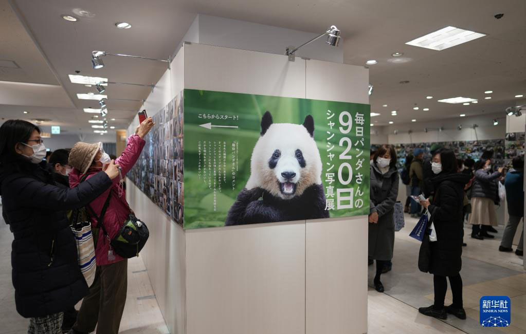 東京上野の百貨店でシャンシャンの写真展が開幕　日本　東京の百貨店・松坂屋上野店で、「920日香香（シャンシャン）写真展」が開幕し、パンダ写真家である高氏貴博さんが撮影したシャンシャンの写真が展示された。