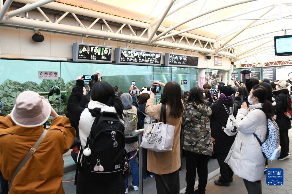 中国に返還される3頭のパンダとの別れを惜しむ日本のファン