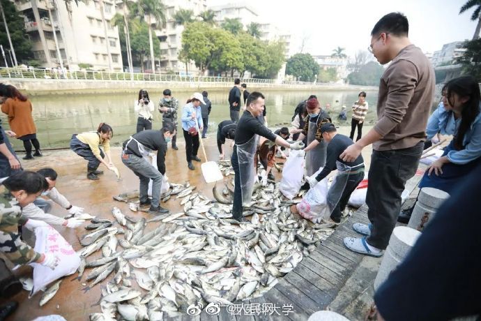 校内で捕獲した魚3750キロを教員と学生にふるまう大学　広西