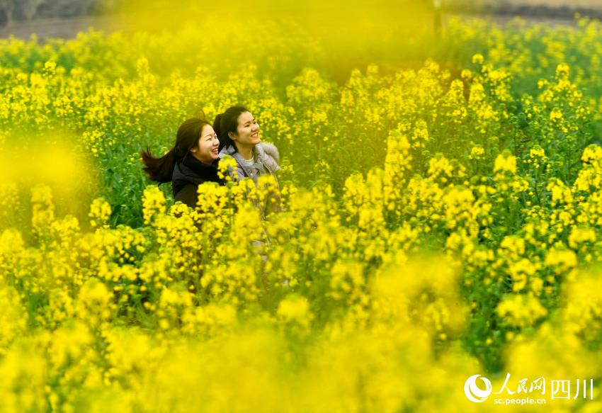 美しい田園風景と満開の花が市民や観光客を魅了　四川省広安