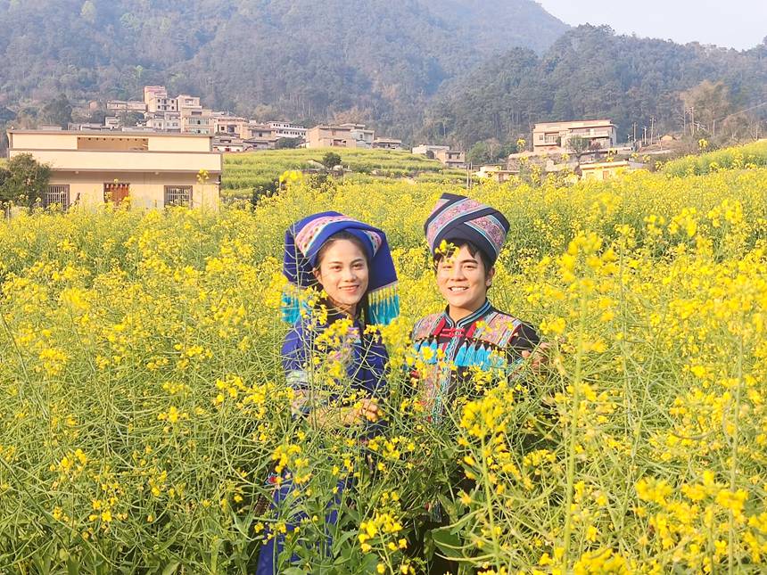 満開を迎えた広大な菜の花畑　広西桂平