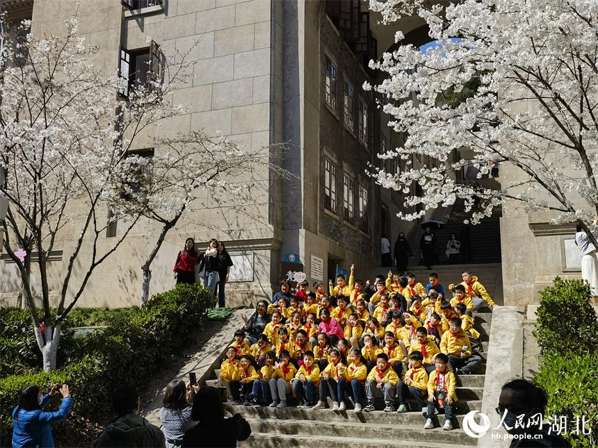 武漢大学の桜が満開　キャンパスに漂う桜の香り　湖北省