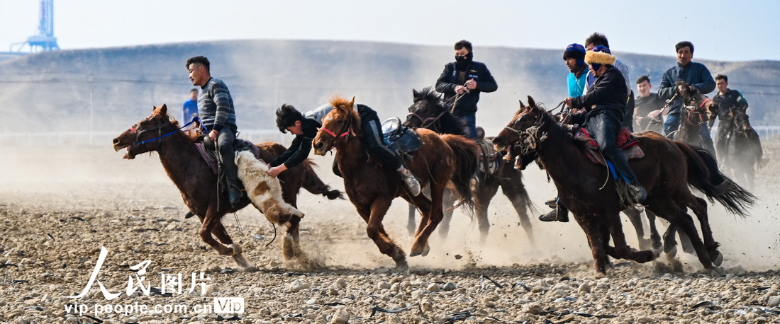 迫力たっぷりな伝統的な競馬パフォーマンスに歓声　新疆呼図壁