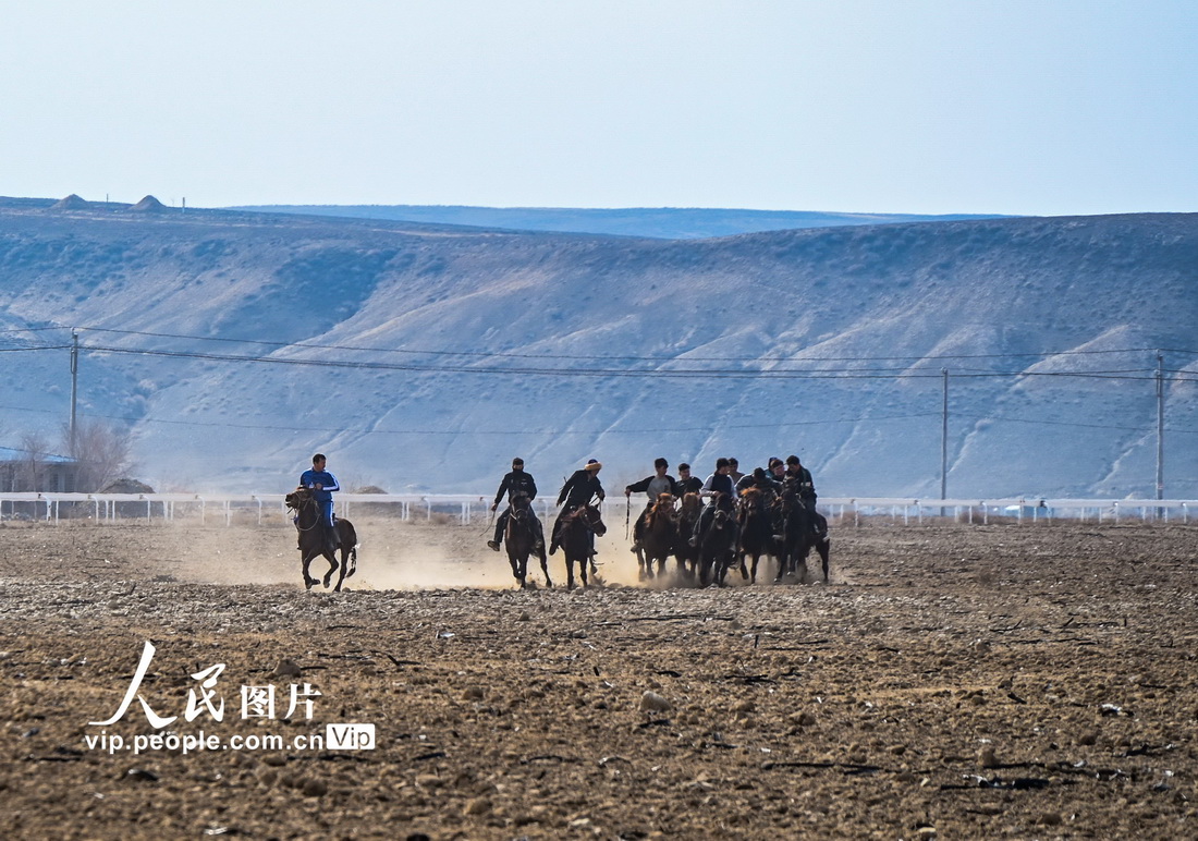 迫力たっぷりな伝統的な競馬パフォーマンスに歓声　新疆呼図壁