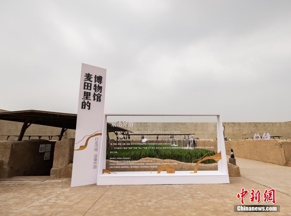 麦畑の中にある博物館で黄河流域9省の「宝」が河南省に集結