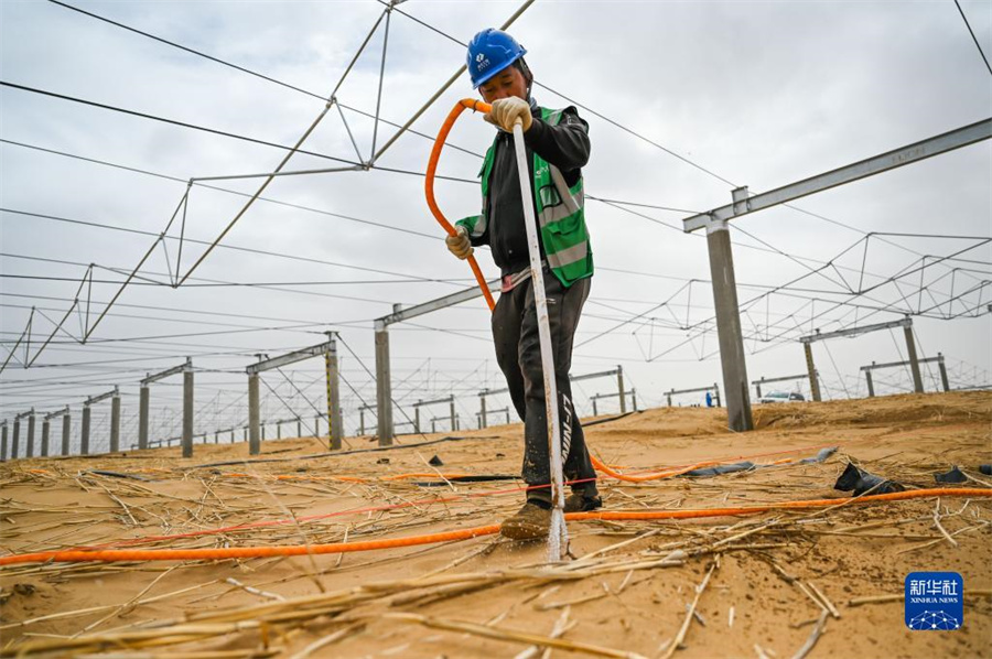 太陽光発電砂漠化対策拠点で植物を栽培　内蒙古