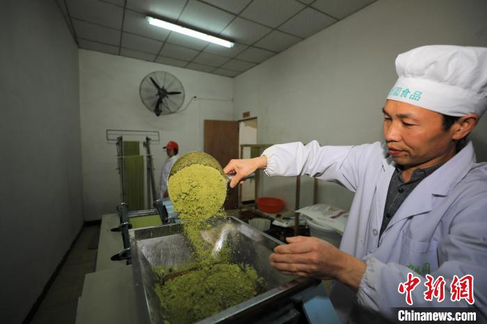 貴州省銅仁市江口県双江街道（エリア）にある食品加工企業で抹茶麺を生産する作業員（撮影・李鶴）。