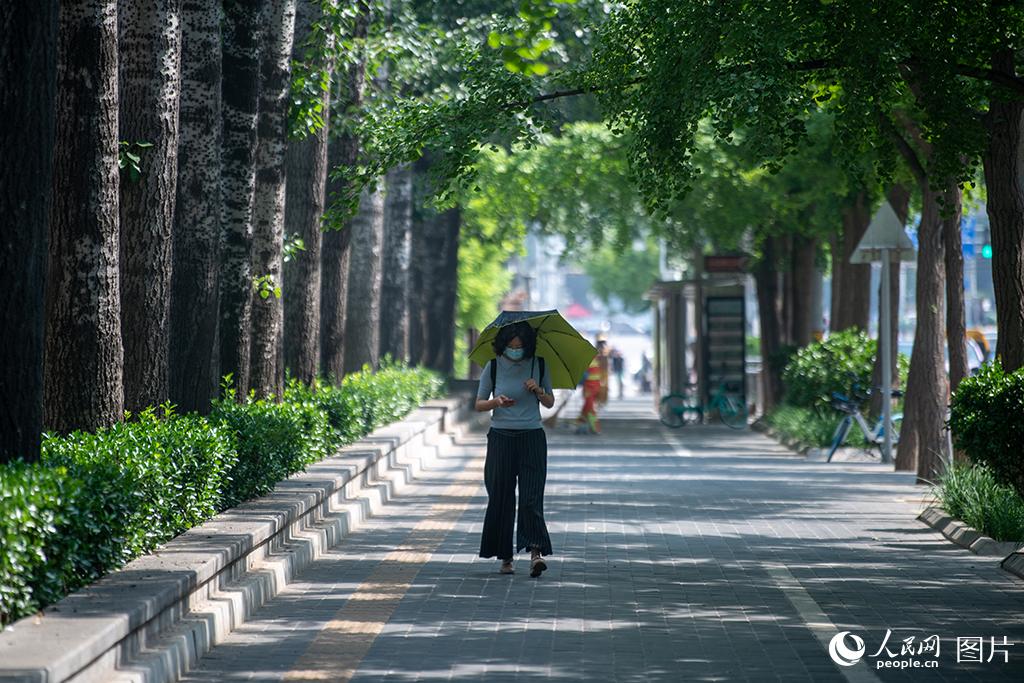 北京の街頭で、日差しを避けるために日傘をさして外出する市民（5月15日撮影・翁奇羽）。