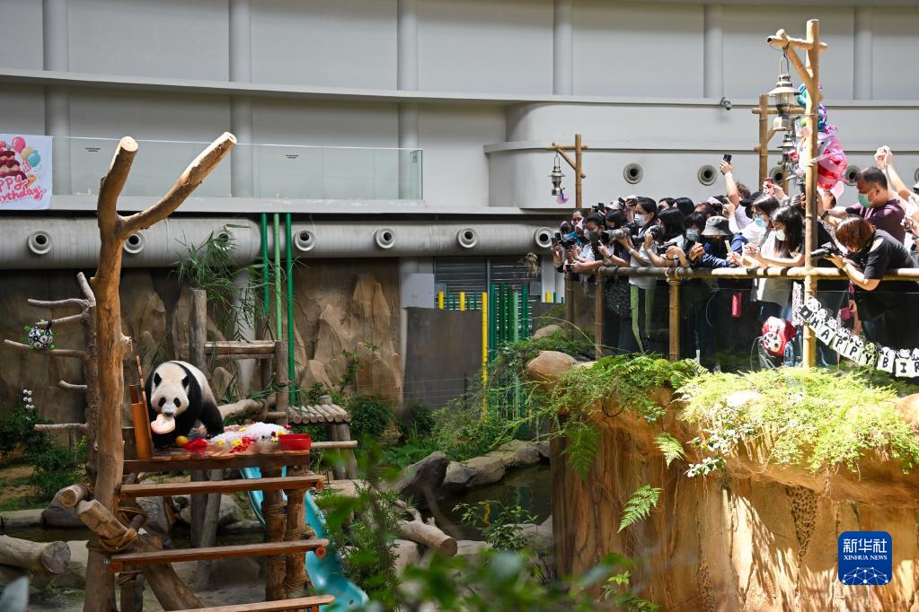 マレーシアのジャイアントパンダ「昇諠」が2歳に