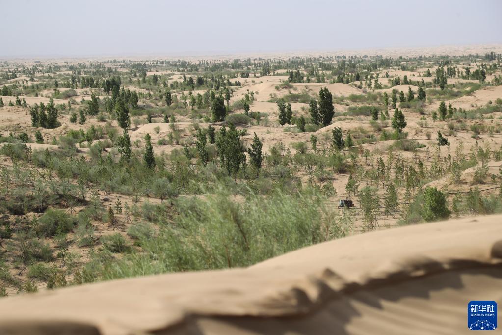 生態環境の改善効果著しい庫布其砂漠　内蒙古