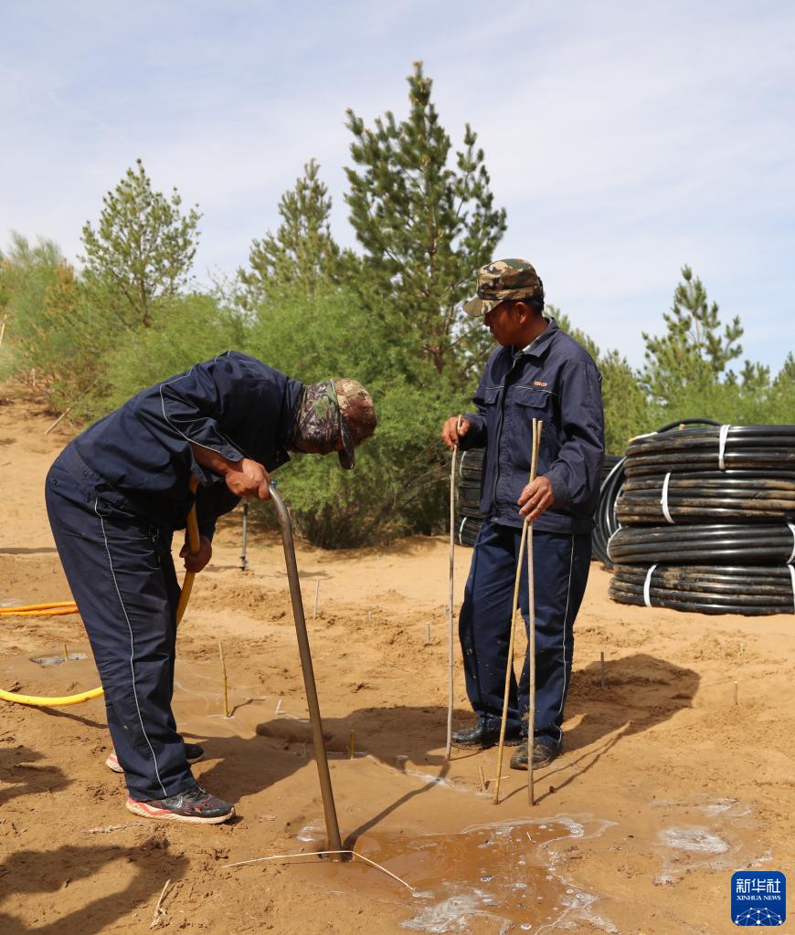 生態環境の改善効果著しい庫布其砂漠　内蒙古