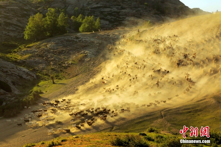 草原の牧畜民が夏の放牧場へ移動　新疆