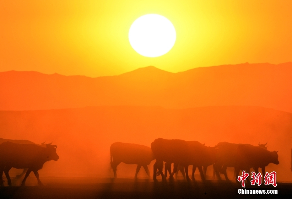草原の牧畜民が夏の放牧場へ移動　新疆