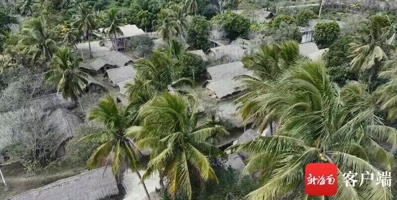 中国が24年ぶりに「複合遺産」申請へ　「海南省の熱帯雨林と黎族伝統集落」