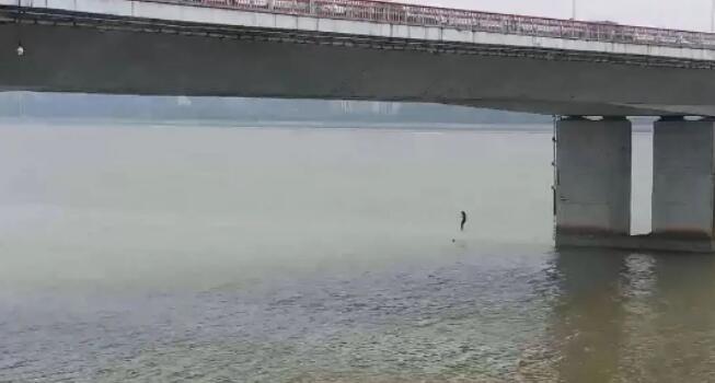 デリバリー配達員が高さ12メートルの橋の上から川に飛び込み女性を救助　浙江省杭州