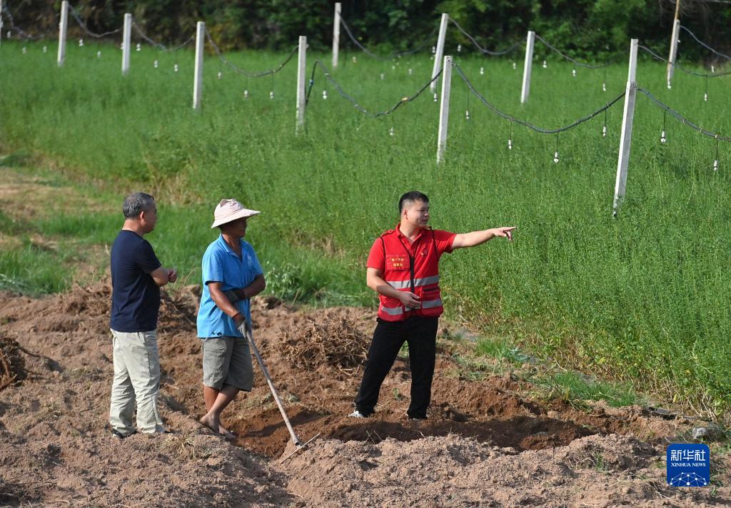 「20万元プラス」行動で農村振興を後押し　広西