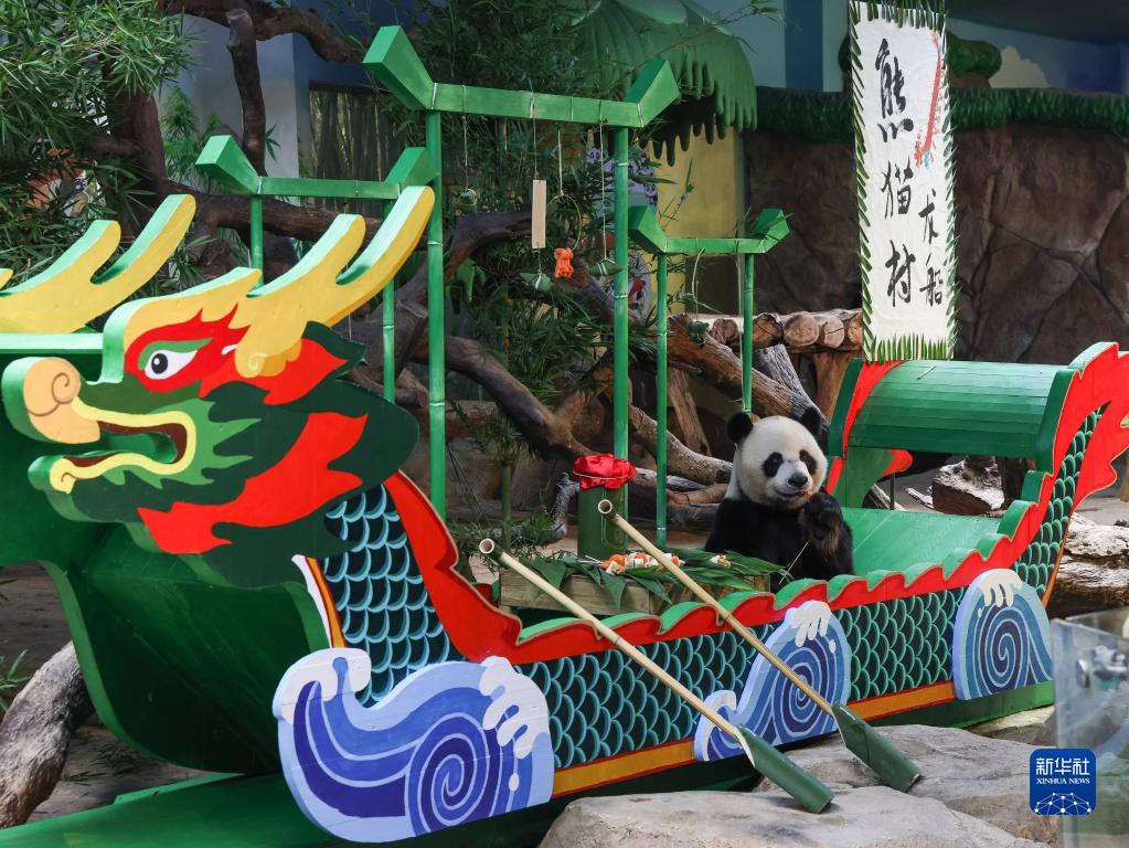 長隆野生動物世界のパンダも端午節の文化を「体験」　広東省広州
