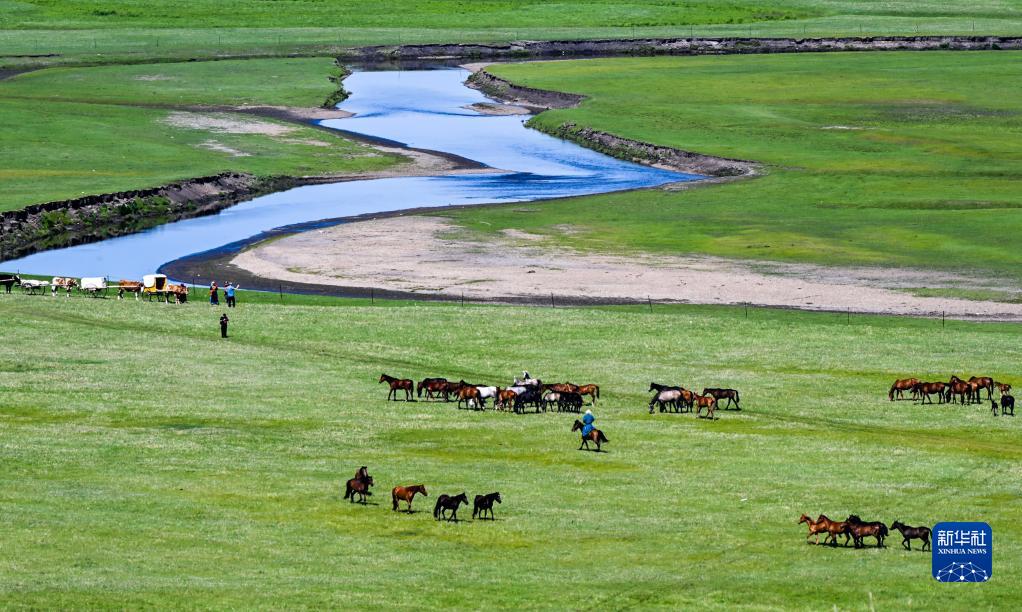 第2回呼倫貝爾大草原文化観光フェスティバルが開幕　内蒙古
