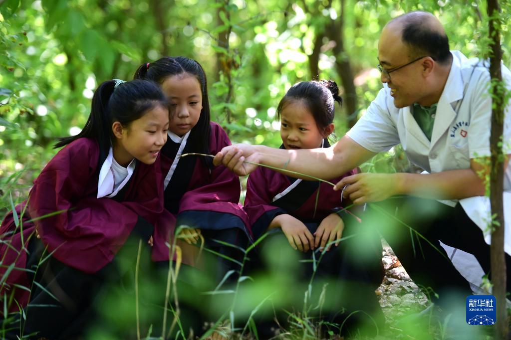 サマーキャンプで中医薬文化を学ぶ小学生　河北省