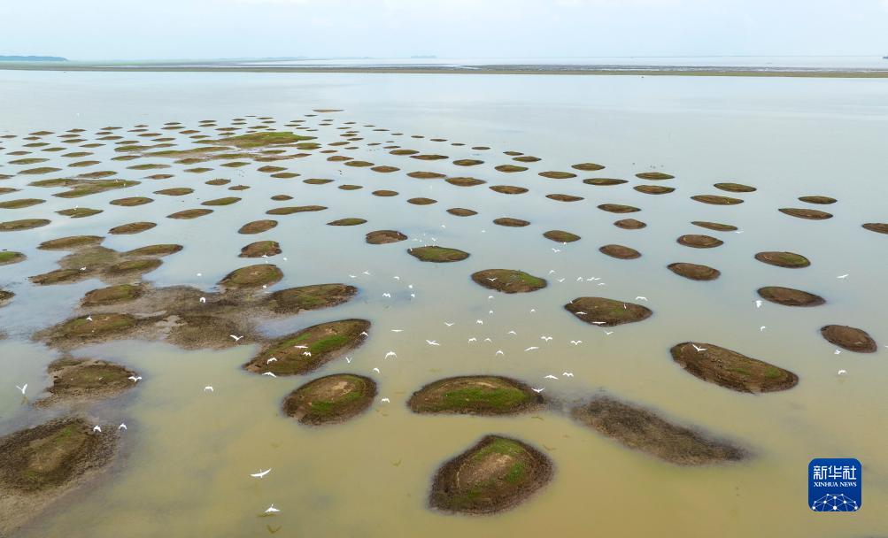 鄱陽湖が観測史上最も早い時期に渇水期に突入　江西省